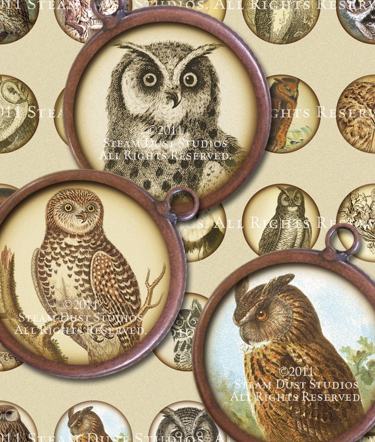 Simply Victorian Owls - Steampunk - 32mm Round Images - Digital Collage Sheet - Instant Download and