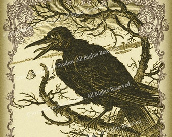 Victorian Goth Antique Raven and Scrollwork - 4x6 Inch Single Digital Image - Instant Download & Print