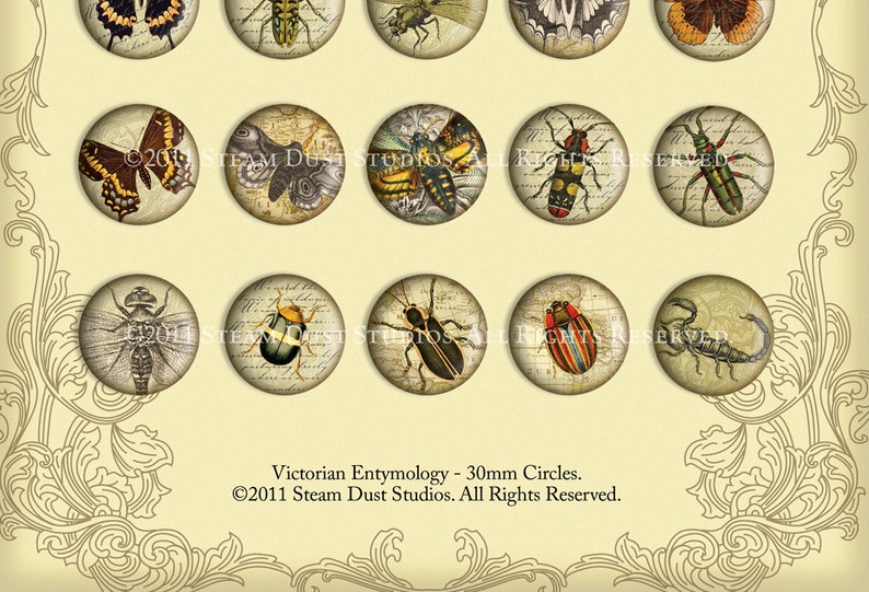 Victorian Beetles, Butterflies, Dragonflies, Etc. 30mm Circles Scrolls, Antique Script, Antique Maps Digital Collage, Steamduststudios image 4
