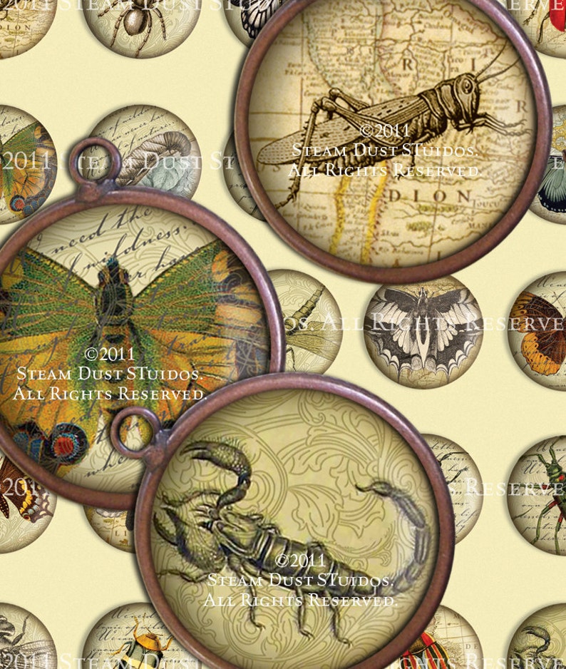 Victorian Beetles, Butterflies, Dragonflies, Etc. 30mm Circles Scrolls, Antique Script, Antique Maps Digital Collage, Steamduststudios image 1