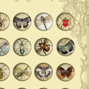Victorian Beetles, Butterflies, Dragonflies, Etc. 30mm Circles Scrolls, Antique Script, Antique Maps Digital Collage, Steamduststudios image 3