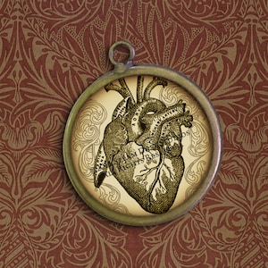 Antique Anatomical Hearts 30mm Round Images Digital Collage Sheet Instant Download and Print image 1