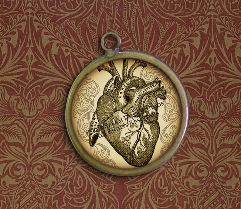 Antique Anatomical Hearts 30mm Round Images Digital Collage Sheet Instant Download and Print image 1