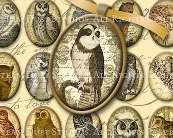 Victorian Owls - 30 x 40mm Cameo-Size Oval Textured Images -  Digital Collage Sheet - Instant Download and Print