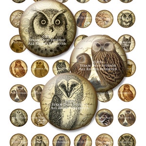 Textured Owls - Victorian - Steampunk - Goth - 1 Inch Circles - Digital Collage Sheet - Instant Download