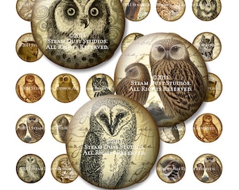 Textured Owls - Victorian - Steampunk - Goth - 1 Inch Circles - Digital Collage Sheet - Instant Download