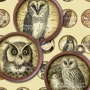 Textured Victorian Owls - 30mm Circles - Steampunk, Goth - Digital Collage Sheet - Instant Download and Print