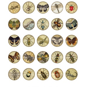 Victorian Beetles, Butterflies, Dragonflies, Etc. 30mm Circles Scrolls, Antique Script, Antique Maps Digital Collage, Steamduststudios image 5