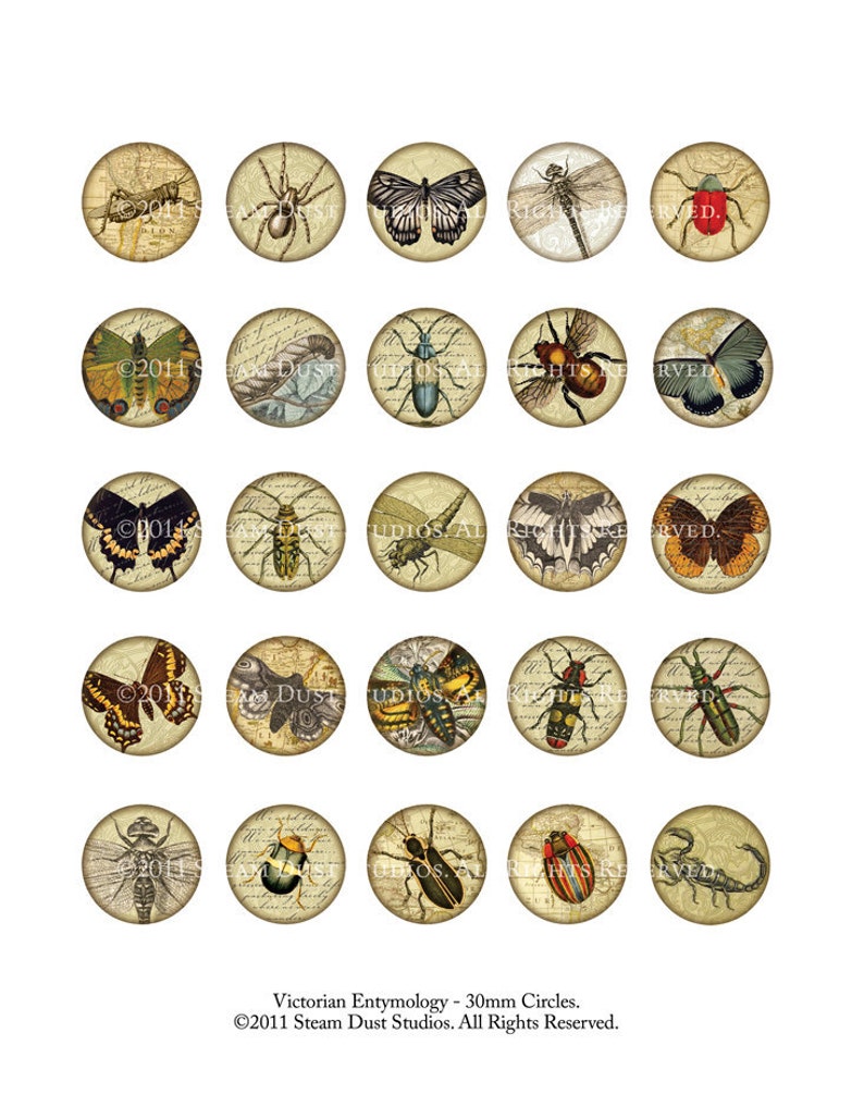 Victorian Beetles, Butterflies, Dragonflies, Etc. 30mm Circles Scrolls, Antique Script, Antique Maps Digital Collage, Steamduststudios image 5