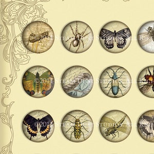 Victorian Beetles, Butterflies, Dragonflies, Etc. 30mm Circles Scrolls, Antique Script, Antique Maps Digital Collage, Steamduststudios image 2
