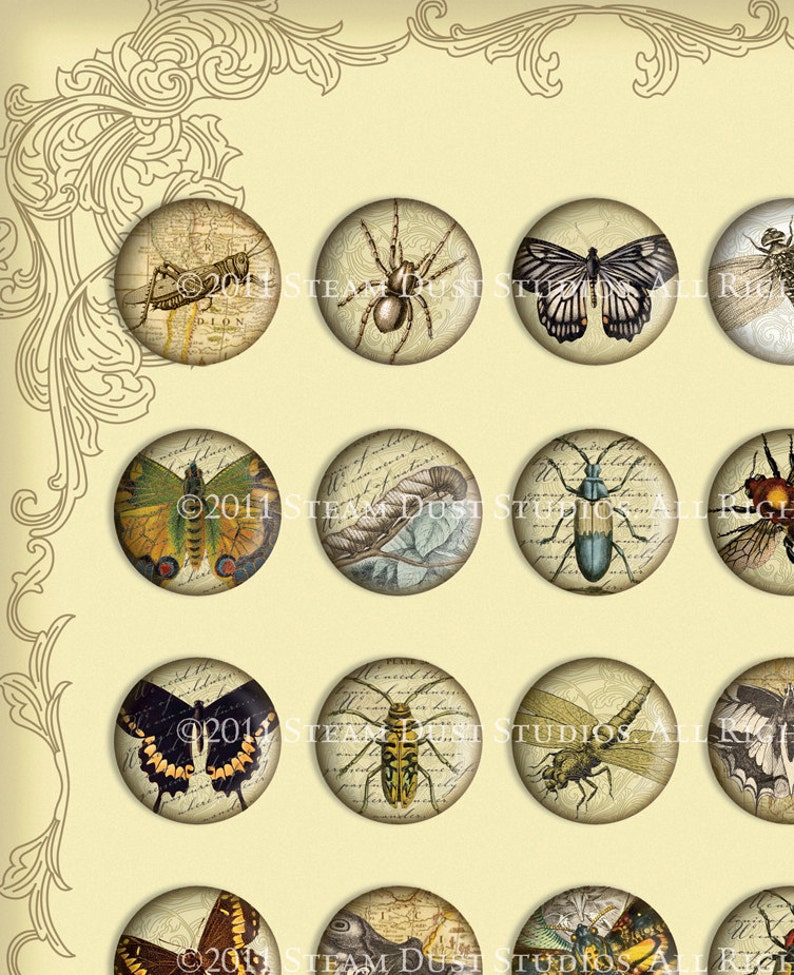 Victorian Beetles, Butterflies, Dragonflies, Etc. 30mm Circles Scrolls, Antique Script, Antique Maps Digital Collage, Steamduststudios image 2
