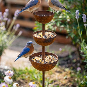 May include: A three-tiered, rustic metal bird feeder filled with birdseed. Three bluebirds perch on the feeder, with two at the top and one at the bottom. The feeder is in a garden setting with flowers and greenery.