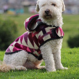 Może przedstawiać: Biały pies w płaszczu z kapturem z geometrycznym wzorem w odcieniach różu, fioletu i kremu. Pies siedzi na zielonej trawie, z rozmytym tłem drzew i budynków.