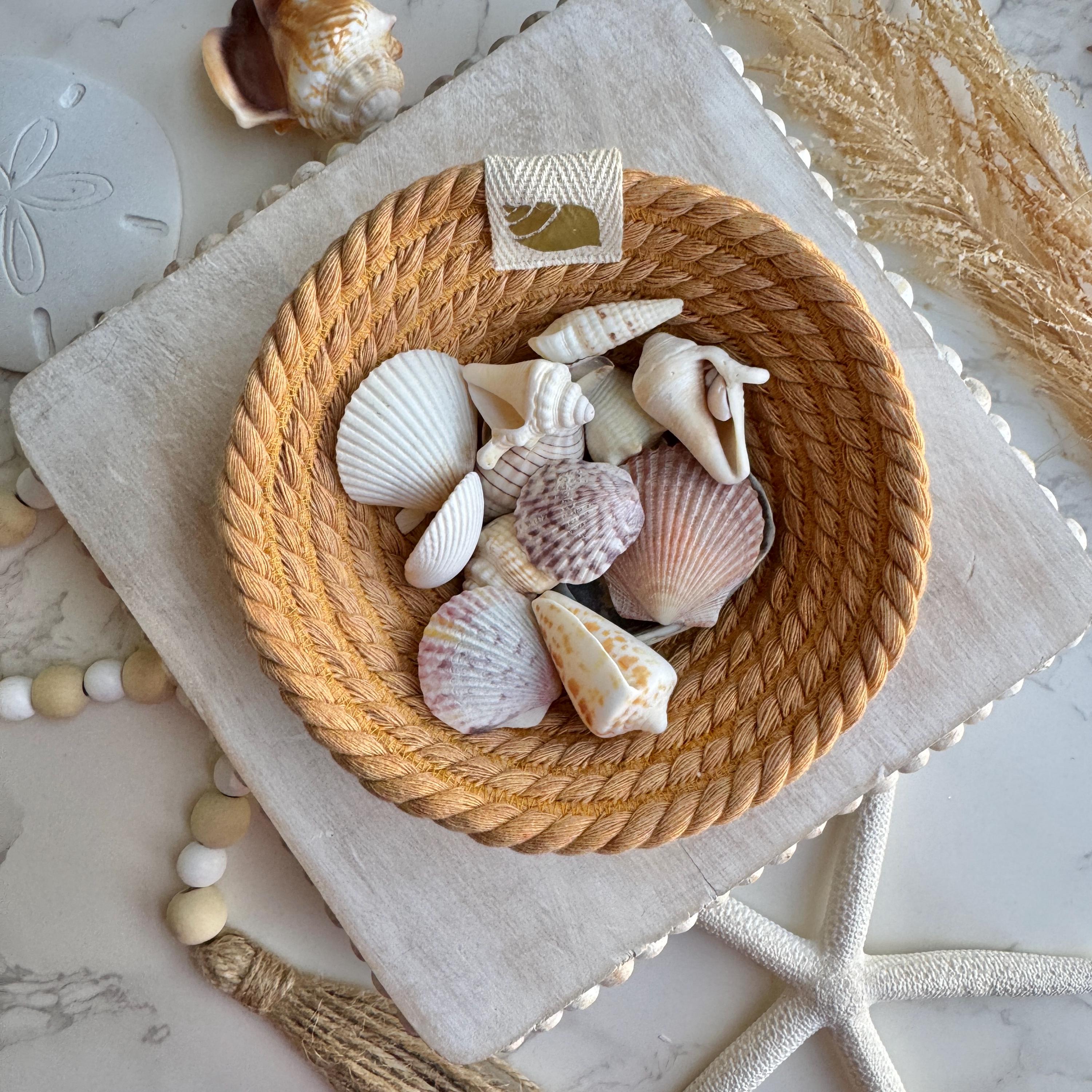 Marigold Seashell rope bowl ring dish, jewelry dish, small decorative bowl, tiered tray decor, beachy storage, shell holder dish, orange