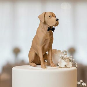 Op de afbeelding: Een witte bruidstaart met twee lagen, versierd met een honden taarttopper. De lichtbruine hond draagt een zwarte vlinderdas. De taart is versierd met witte bloemen, parels en zilveren accenten.