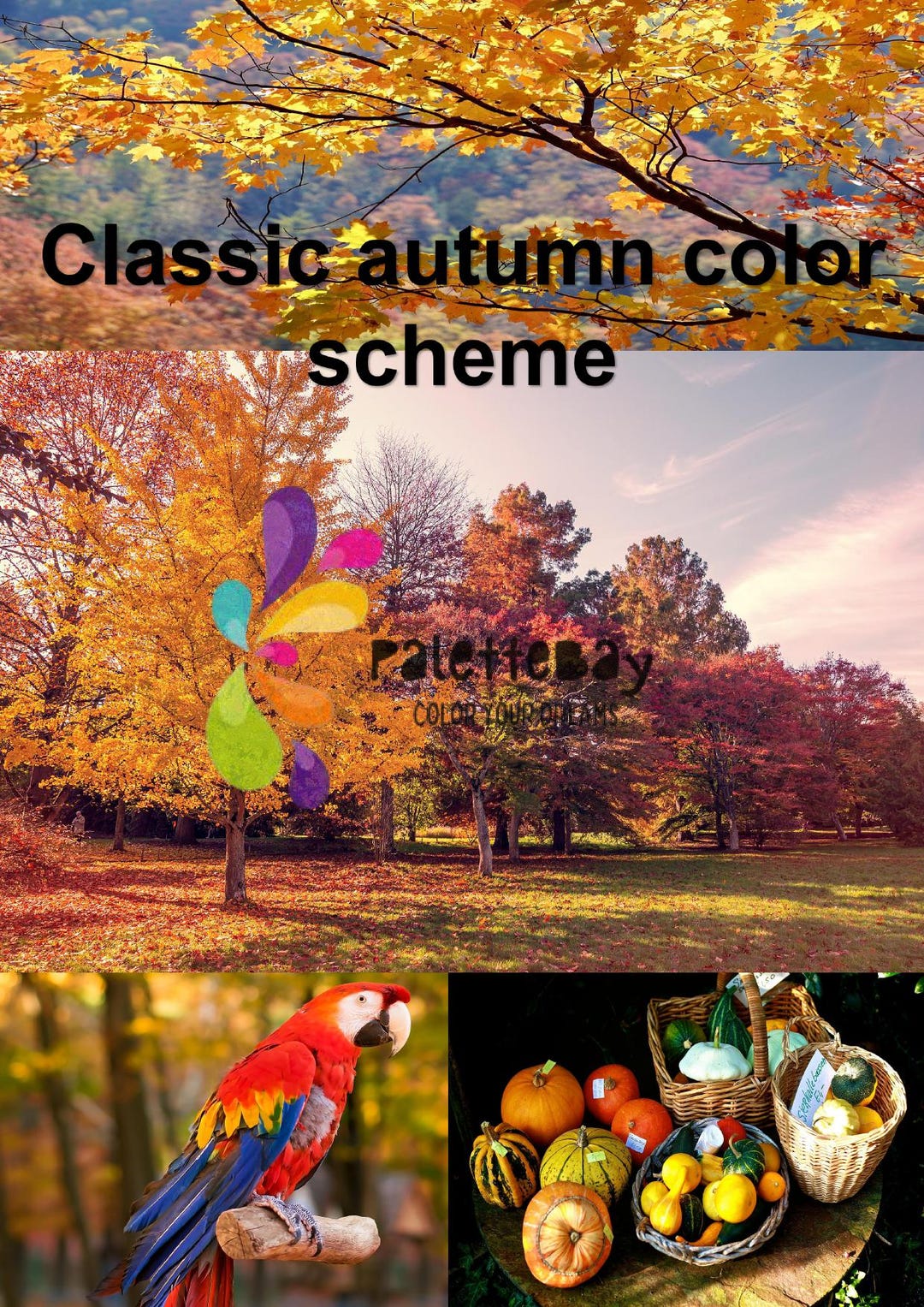 Classic Autumn Color Palettes · 8 Fall Nature Schemes · 48 Hex Codes ...