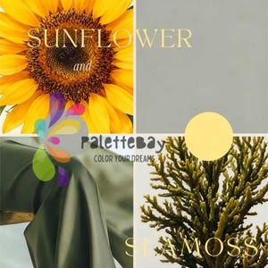 May include: A collage featuring a vibrant yellow sunflower, olive green fabric, and sea moss. The text "SUNFLOWER and SEA MOSS" is displayed in gold lettering. The image also includes the text "PaletteBay COLOR YOUR DREAMS".