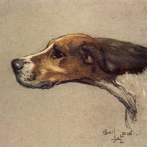 May include: A watercolour painting depicting a dog's head in profile. The dog has brown and white fur with a black ear. The artwork is signed "Goldin" in the lower right corner. The background is a muted tan colour.