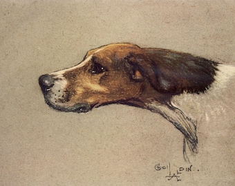 Pointer Dog Print by Cecil Aldin From A Dozen Dogs or So – Cecil Aldin A4 & A5
