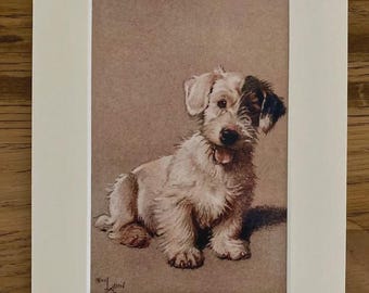 Terrier Dog Art Print by Cecil Aldin in a 8x6" Mount Vintage Art