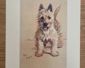 Westie Dog Art Print by Cecil Aldin, Mounted 8x6" -Vintage Art