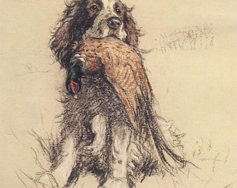 Vintage Spaniel Dog Art Print - Cecil Aldin Reproduction