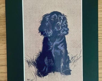 Cocker Spaniel Dog Art Print by Cecil Aldin, Mounted 8x6" -Vintage Art