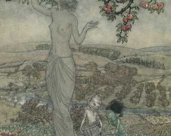 Arthur Rackham 'A Dish of Apples' Vintage Print (A4) Choice of 3 Vintage Prints