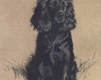 Vintage Cocker Spaniel Art Print by Cecil Aldin