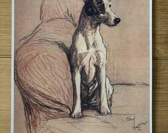 Fox Terrier Dog Print by Cecil Aldin - Vintage Art