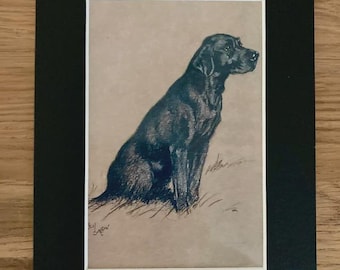 Labrador Dog Art Print by Cecil Aldin, Mounted 8x6" -Vintage Art
