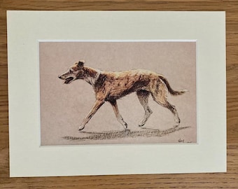 Lurcher Dog Art Print by Cecil Aldin, Mounted 8x6" -Vintage Art