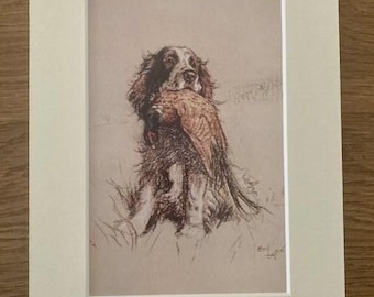Spaniel Dog Art Print by Cecil Aldin, Mounted 8x6" -Vintage Art