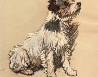 Vintage Jack Russell Dog Art Print – Cecil Aldin Reproduction