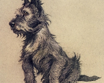 Black Westie Dog Print by Cecil Aldin From A Dozen Dogs or So – Cecil Aldin A4 & A5