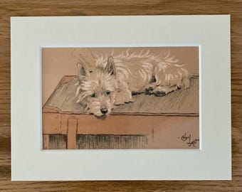 Westie Dog Print, Cecil Aldin Art, 8x6 Cream Mount