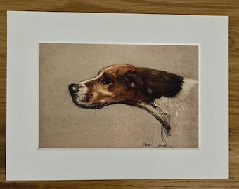 Pointer Dog Art Print by Cecil Aldin, Mounted 8x6" - Vintage Art