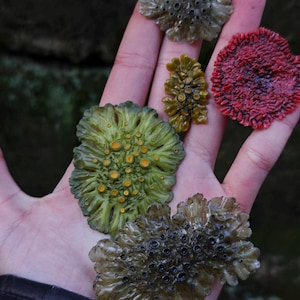 Peut inclure: Une main tenant plusieurs petits objets texturés et colorés de forme organique. Les objets sont dans des tons de vert, de marron et de rouge, avec une surface bosselée. Les objets semblent être des pièces décoratives ou artistiques, peut-être inspirées par des formes naturelles.