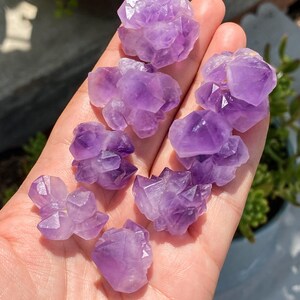 May include: A collection of small, clustered amethyst crystals in varying shapes and sizes. The crystals display a range of purple hues, from light lavender to deep violet. The crystals are held in a hand, with a blurred background of greenery.
