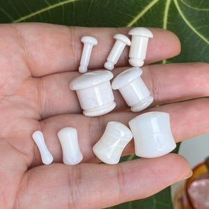 May include: A collection of eight white ear plugs and tunnels of varying sizes and shapes, including small barbell-style plugs, medium-sized flared plugs, and larger concave tunnels, all featuring a smooth, polished, and opaque white finish.