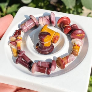 May include: A collection of polished stone ear plugs in various shades of red, maroon, purple, and yellow. The plugs feature a flared design with a smooth, glossy finish. They are arranged in a circular pattern on a white square tray.