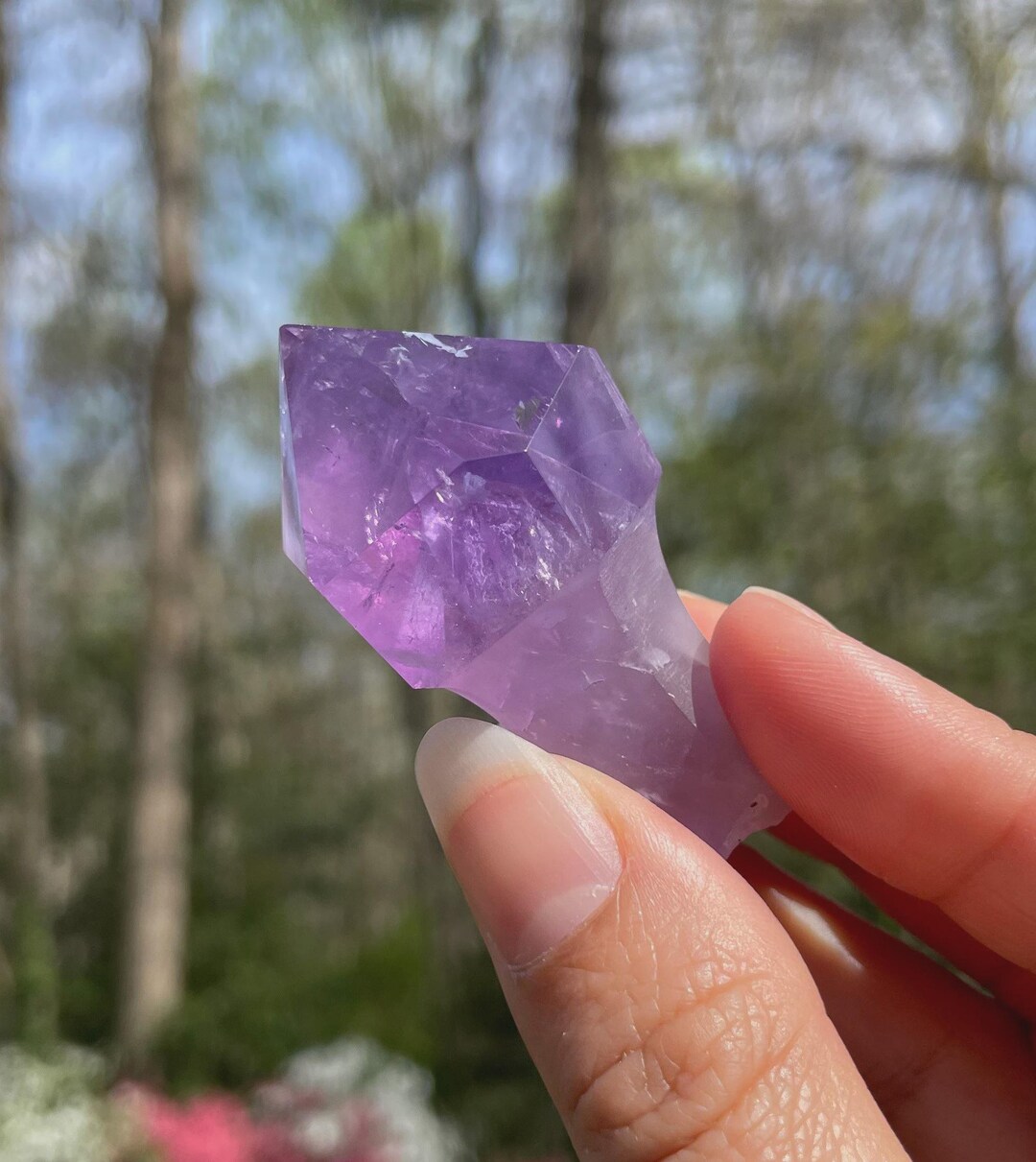Raw Amethyst Scepter Point: Balance, Harmony, Meditation Crystal - Etsy
