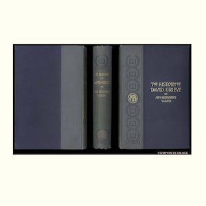 History of David Grieve by Mrs. Humphry Ward, The 1892 First American Edition Victorian Era Antique Book Vintage Book