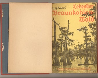 Swamps - The Living Lignite Forest - Lebender Braunkohlenwald 1931 Vintage German Children&#39;s Natural History Book Deutsche Black Letter