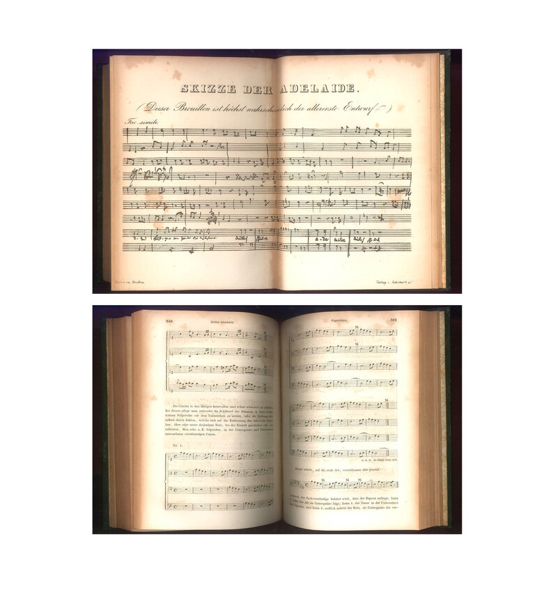 May include: Two open antique books with aged, yellowed pages. The top book displays musical notation with German text, titled "Skizze der Adelaide." The bottom book also features musical notes and German text. The books have a dark green cover.