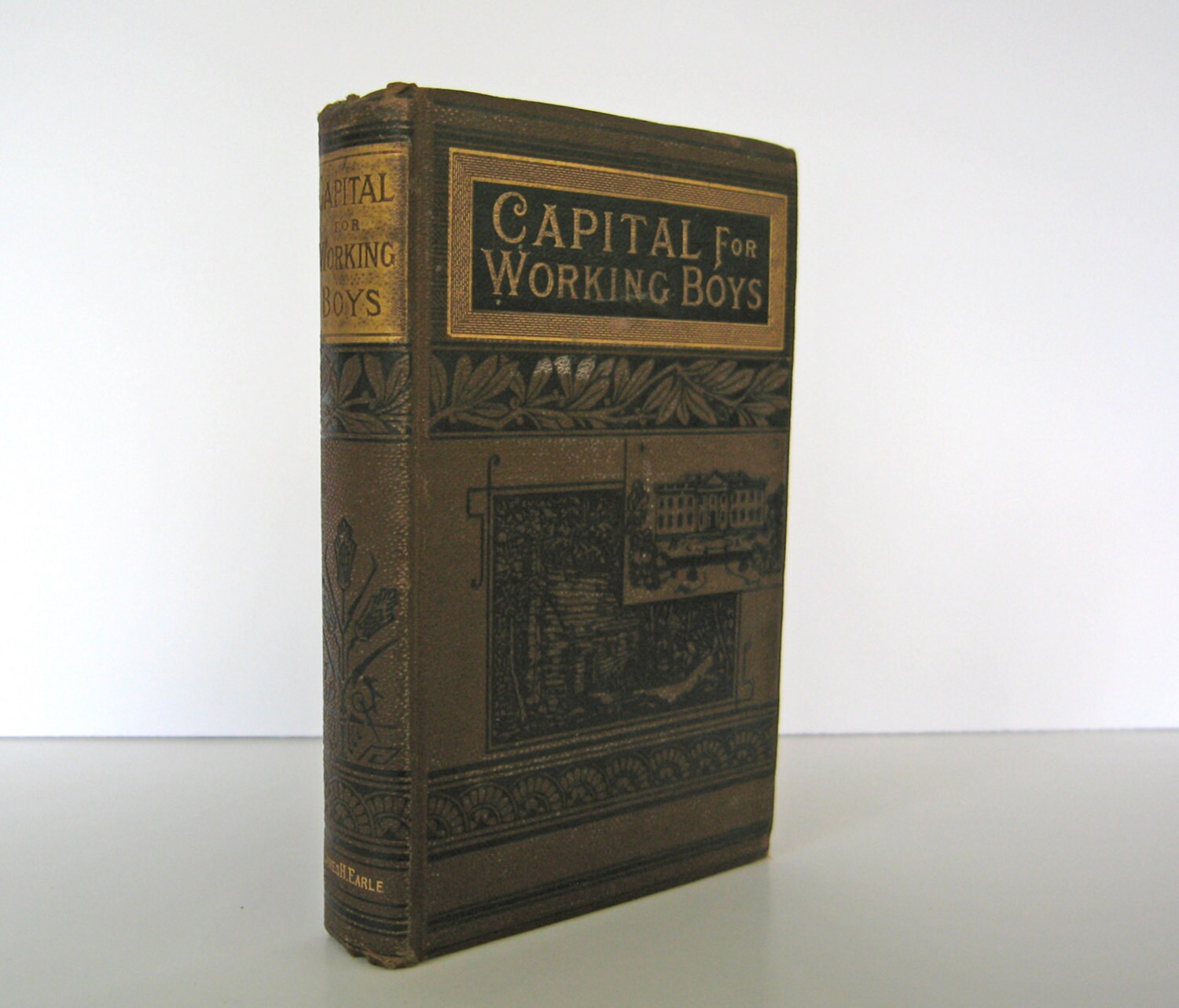 Capital for Working Boys by McConaughy. Log Cabin Series.  Published 1886 by James Earle