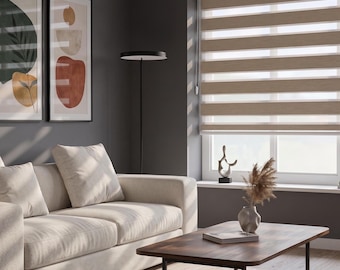 Zebra Blinds Indoor For Windows, Light Filtering Privacy Shades