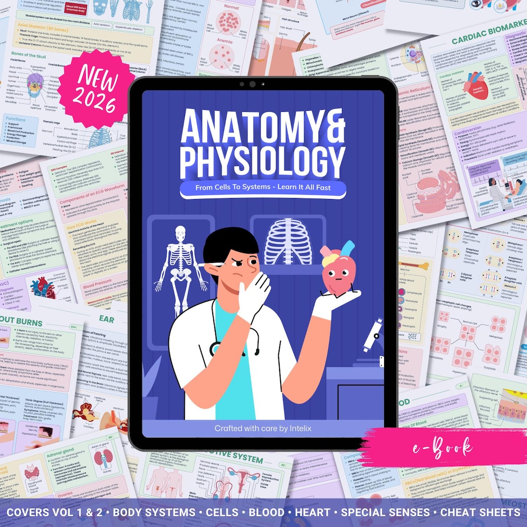 Anatomy and Physiology Complete Bundle | Nursing School | Human Anatomy ...