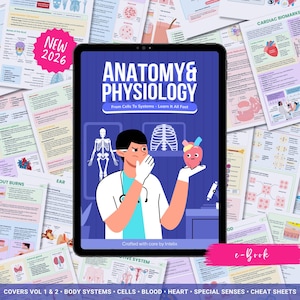 Anatomy and Physiology Complete Bundle | Nursing School | Human Anatomy, Flashcards, Cheat Sheets, Coloring Book