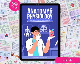 Anatomy and Physiology Complete Bundle | Nursing School | Human Anatomy, Flashcards, Cheat Sheets, Coloring Book